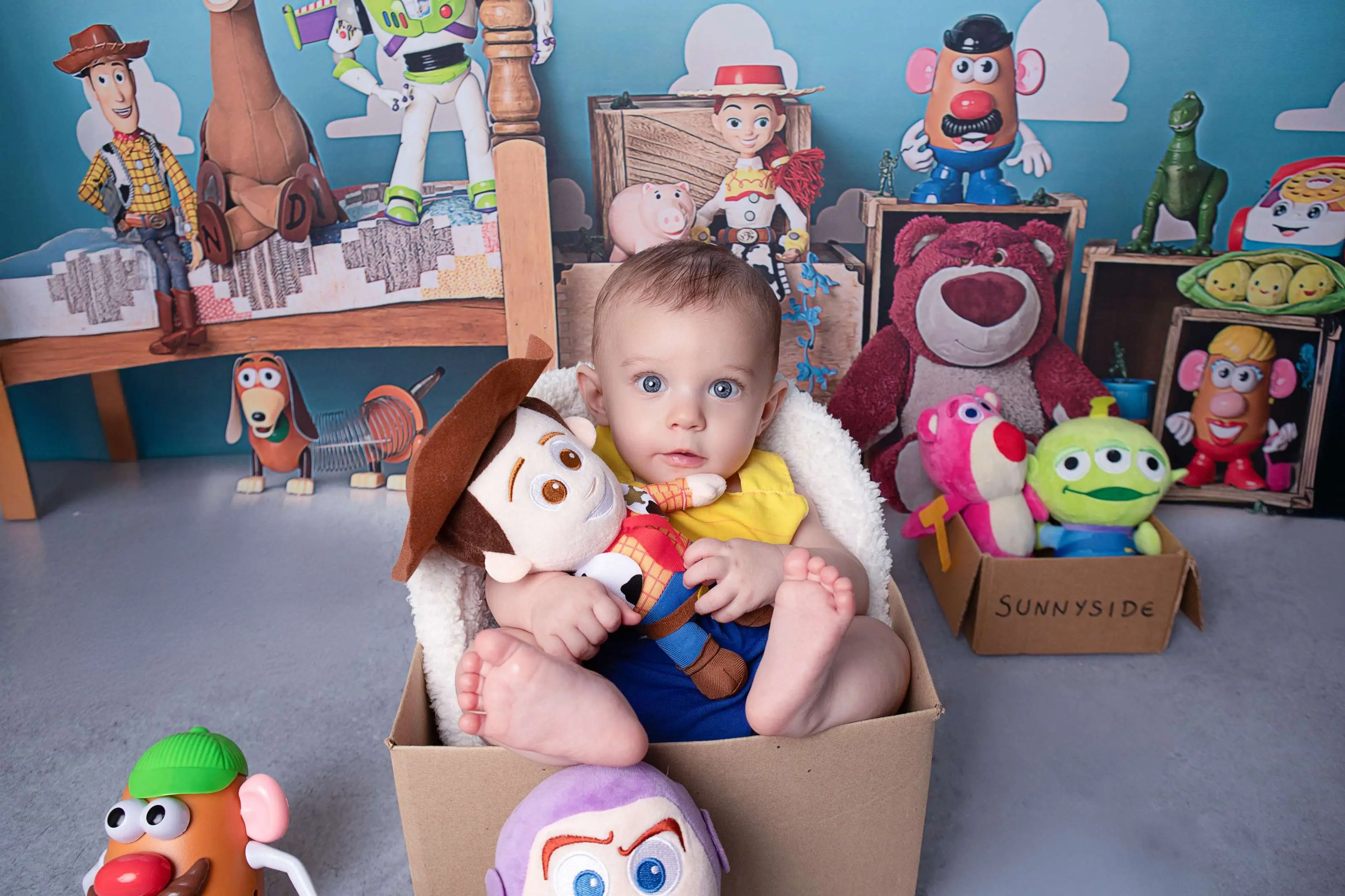 Cenário Toy Story P