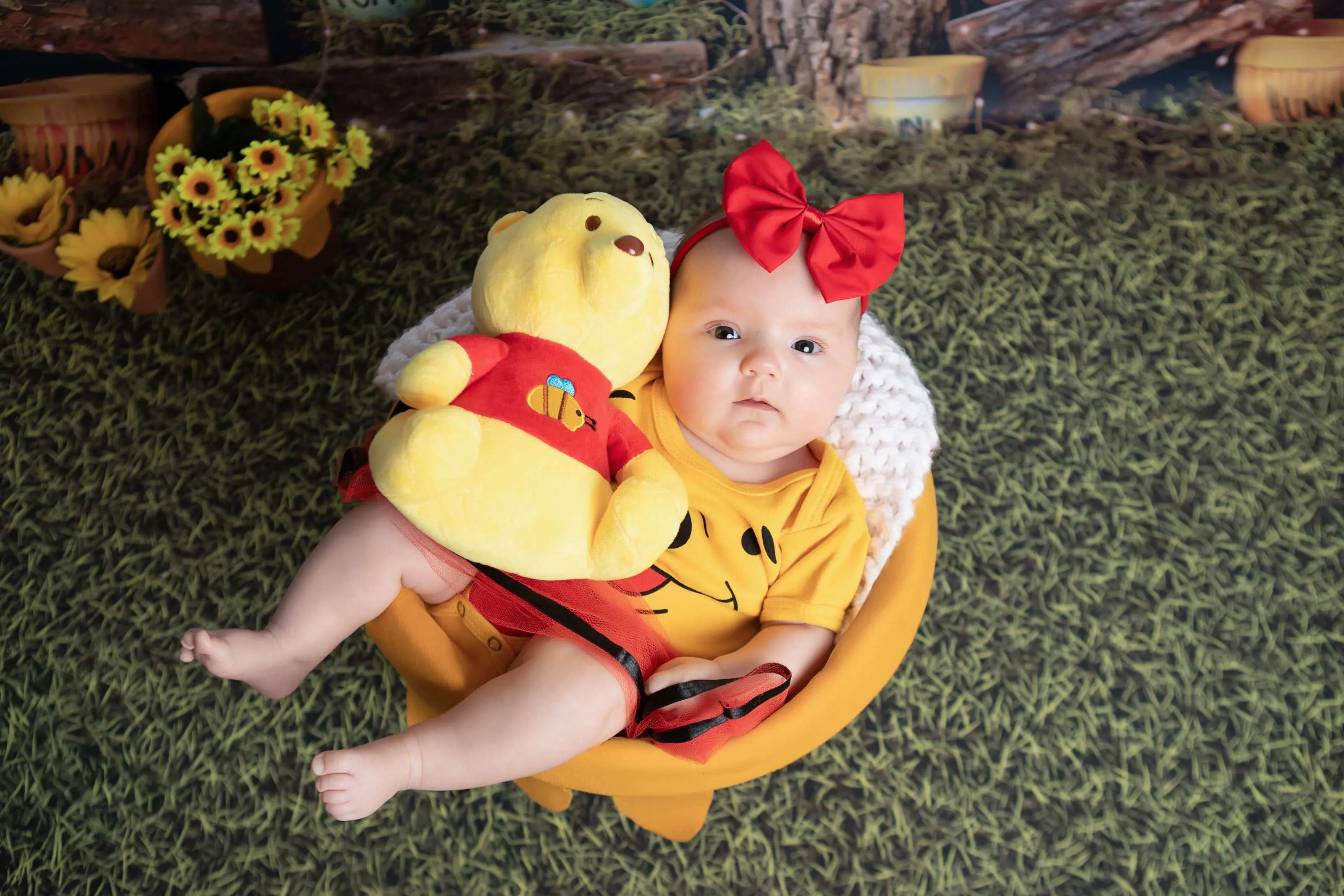 Cenário Ursinho Pooh P