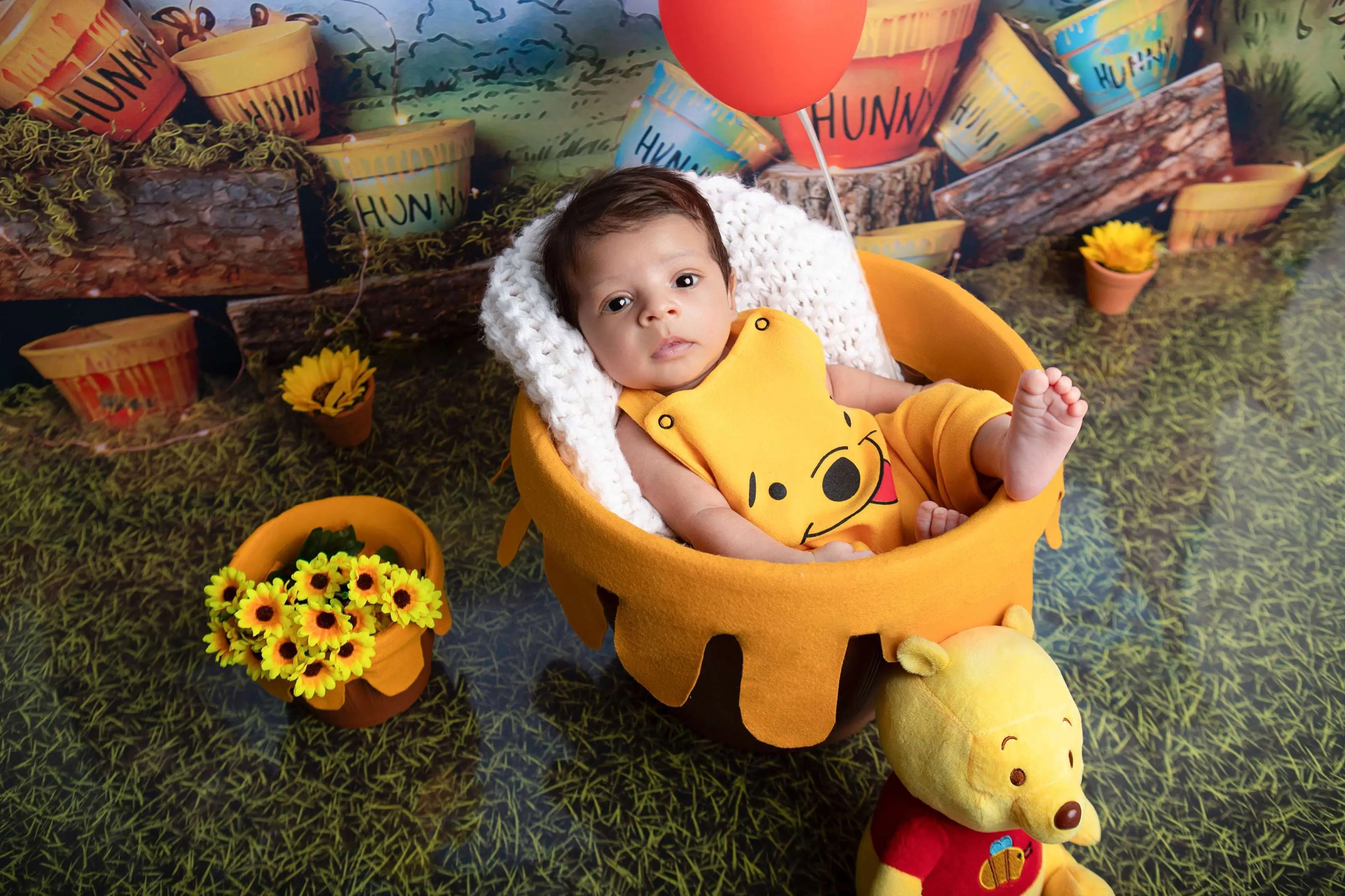 Cenário Ursinho Pooh P