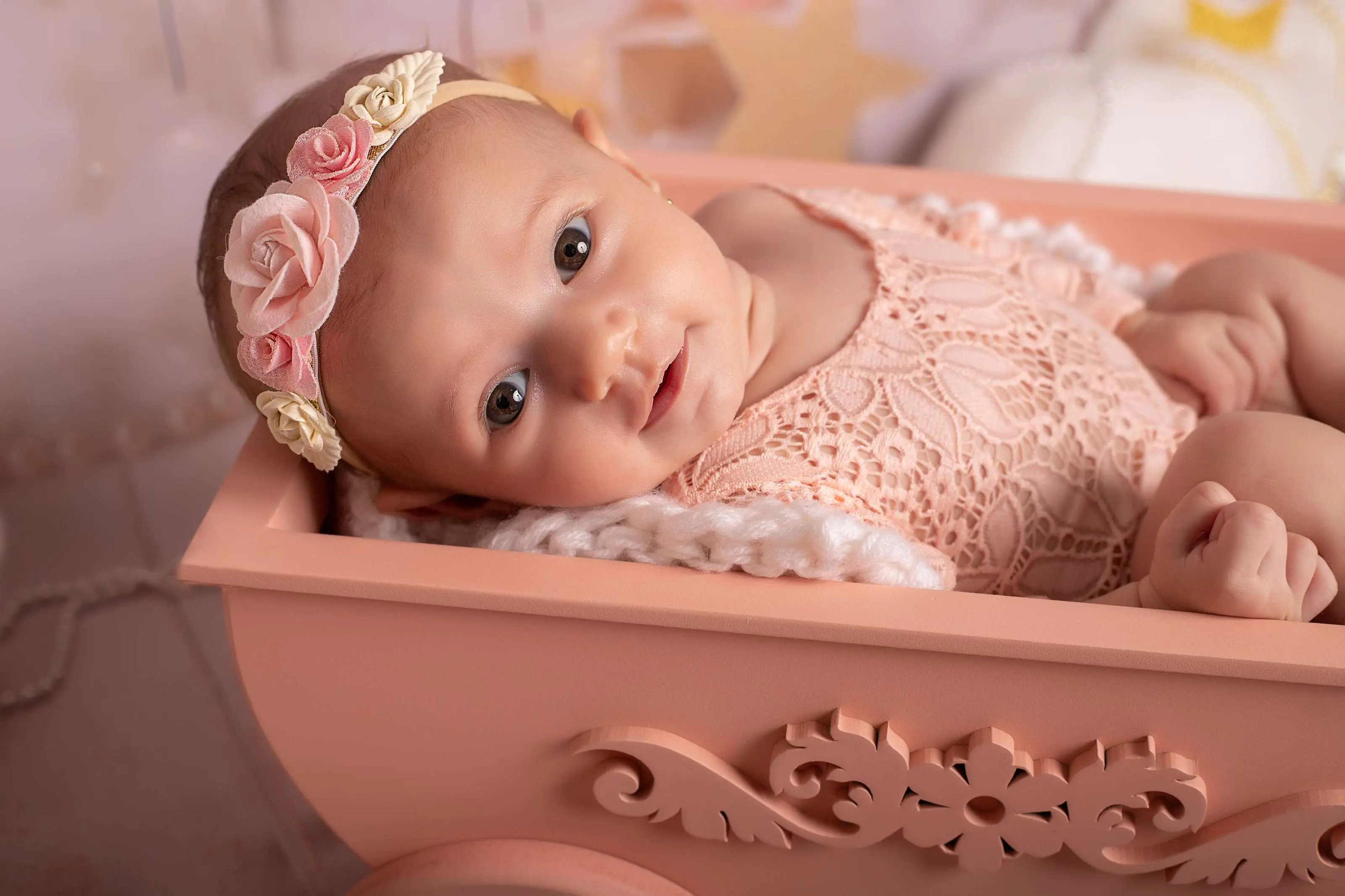 Cenário Celeiro Rosa